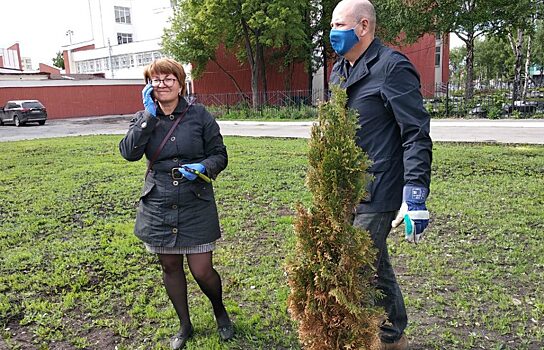 Директор Ботанического сада ЧелГУ реанимировала туи на Алом поле