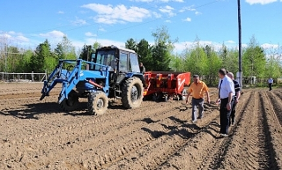 В Красноселькупском районе посадят картофель, овощи и зелень