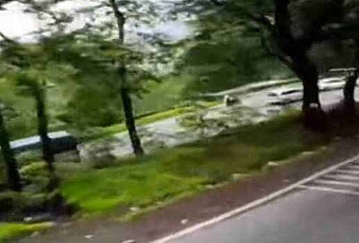 Турист случайно снял видео из рухнувшего в ущелье автобуса