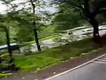 Турист случайно снял видео из рухнувшего в ущелье автобуса