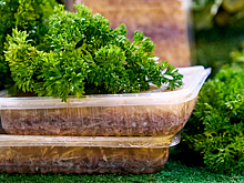 На московских ярмарках начали продавать традиционный холодец