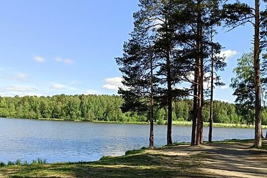 Роща молодёжи появится в Свердловской области
