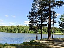 Роща молодёжи появится в Свердловской области