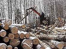 Зарплаты некоторых специалистов начали расти