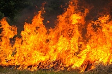 В МЧС опровергли пожар на турбазе в нижегородском Заволжье