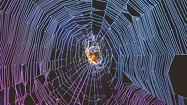 Женщина превратила свою квартиру в зловонный рассадник пауков и мух