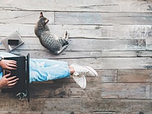 &laquo;Билайн&raquo; и Everland помогли получить работу 200 специалистам с инвалидностью