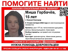 15-летнего подростка с татуировкой костра разыскивают в Нижнем Новгороде