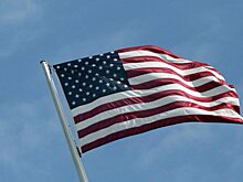 Профессор Гарварда Лессиг баллотируется в президенты США