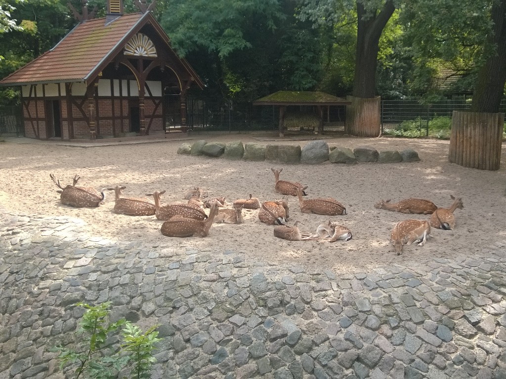 Берлинский зоопарк, Берлин, Германия