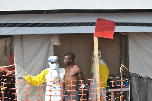 Big data может навредить борьбе с коронавирусом