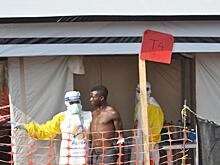 Big data может навредить борьбе с коронавирусом