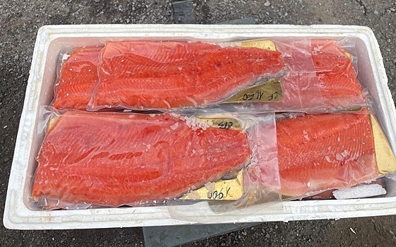 Торговала в Ростове, Аксае, Батайске, Азове: у кубанки изъяли 11 т нелегальной рыбы