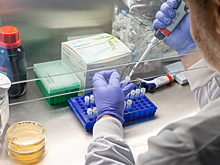 В Краснодарском крае прокомментировали ситуацию с COVID-19