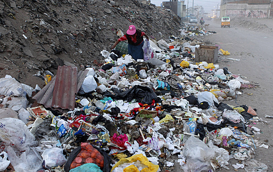 "Россия опоздала с мусорной реформой на 40 лет"