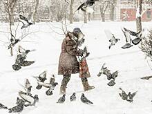 Российский город завалило снегом