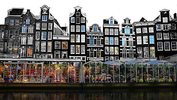 Амстердам может потерять треть туристов из-за запрета каннабиса