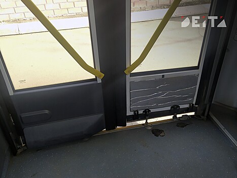 Во Владивостоке водитель не выпустил подростка из автобуса и нарвался на уголовку