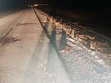 В Башкирии водитель грузовика сбил мужчину насмерть