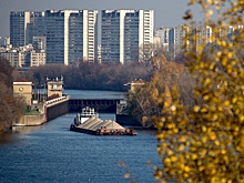 Леус: В Москву пришли первые заморозки