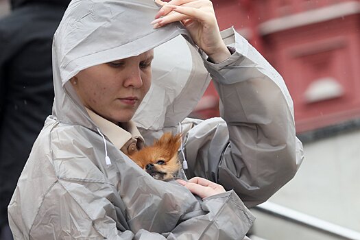 Жара в Москву вернется в середине июля - синоптик