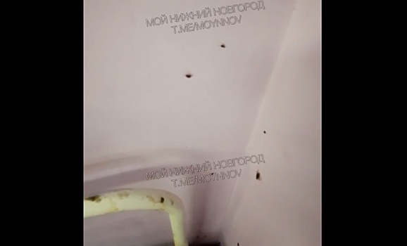 Учащиеся школы № 81 в Нижнем Новгороде пожаловались на тараканов