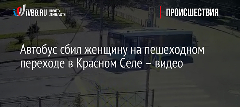 Автобус сбил женщину на пешеходном переходе в Красном Селе – видео
