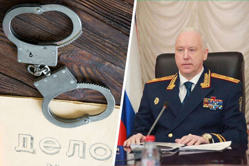 Бастрыкин после избиения школьницы в Адыгее поручил завести дело