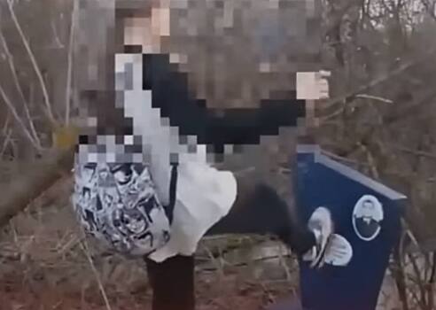 В Балахне школьница пнула надгробие, выполняя задание друзей