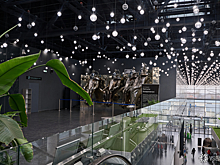 Инфраструктурный сбор впервые появится в кемеровском аэропорту