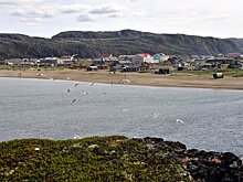 Гостем фестиваля в Заполярье станет режиссер Андрей Звягинцев