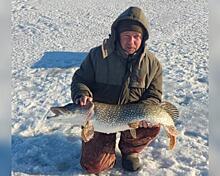 Огромную щуку поймал на озере Чаны житель села Веселовское