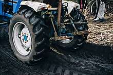 Сотни тракторов перекрыли дороги Германии во время протестов фермеров