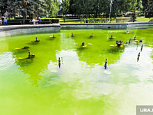 В главном фонтане Челябинска позеленела вода. Фото, видео