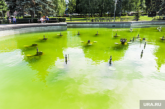 В главном фонтане Челябинска позеленела вода. Фото, видео