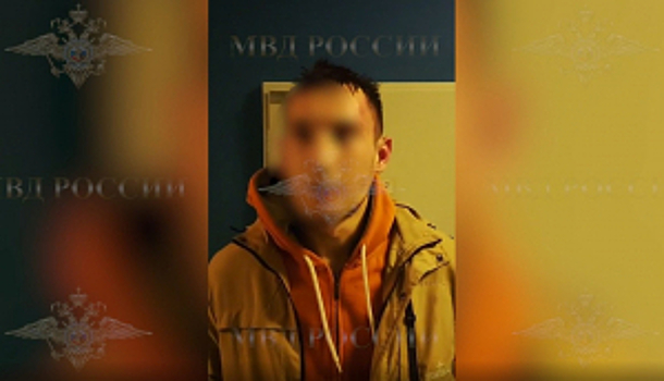 МВД России публикует видео задержания еще подозреваемого в совершении резонансного преступления