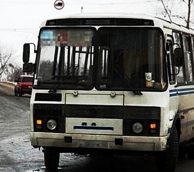 СК заинтересовался видеороликом о выпадении пассажирки из маршрутки в Нижнем Новгороде