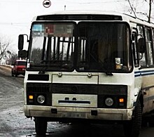 СК заинтересовался видеороликом о выпадении пассажирки из маршрутки в Нижнем Новгороде