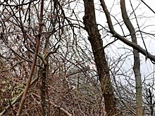 Танкисты рассказали о главной примете перед боевым выездом