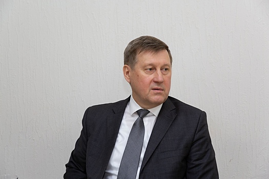 Вырубка леса в Нижней Ельцовке продолжается, несмотря на запрет мэра Новосибирска Анатолия Локтя