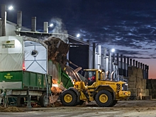 «Грибная радуга»: забота об экологии