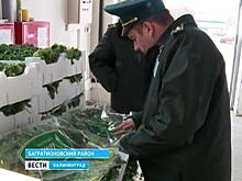 На таможне задержали 7 тонн овощей и фруктов с тройным «гражданством»