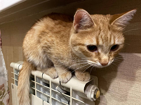 Стало известно, когда в домах самарцев включат отопление