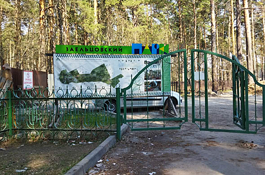 Открытие Заельцовского парка после реконструкции перенесли еще раз