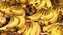 Кардиолог назвал фрукты, снижающие риск развития инсульта