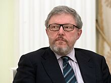 Явлинский вернулся в Москву после медобследования в Германии