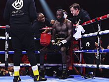 Американская школа бокса, чемпионы мира по боксу из США, США в профессиональном боксе
