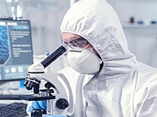 Биолог Северинов предположил, что «болезнь Х» берет начало с Юга