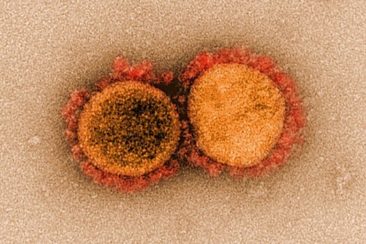 Назван препарат, лишающий коронавирус способности заражать