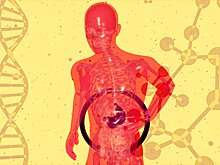 Создан пластырь, который может лечить заболевания печени